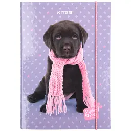 Папка для зошитів Kite В5 на гумці Studio Pets, картон (SP23-210) - мініатюра 2