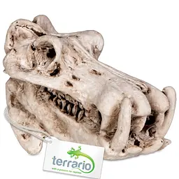 Декорація череп бегемота Terrario Hippo Skull 5x3x3см (533)