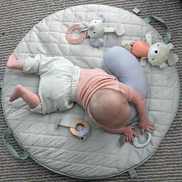 Розвиваючий килимок Ingenuity Cozy Spot (12126) - мініатюра 13