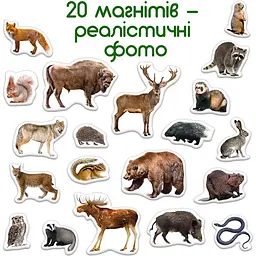 Набір магнітів Magdum Лісові мешканці ML4031-29 EN - мініатюра 4