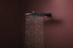 Верхній душ Hansgrohe Raindance Alive S 300 2jet EcoSmart з тримачем matt black 24541670 - мініатюра 2