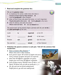 Grammar Goals. Level 5. Pupil's Book + eBook - Анджела Лланас - миниатюра 3