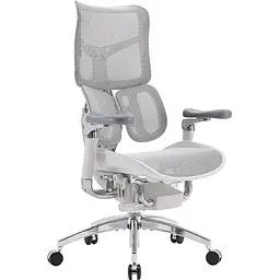 Крісло офісне Sihoo Doro S300 Mesh Light Grey (S300-M202) - мініатюра 3