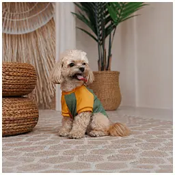 Футболка для тварин Pet Fashion Kent XS2 (4823082446162) - мініатюра 3