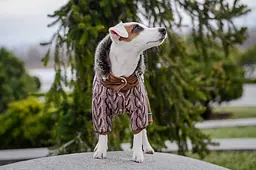 Комбінезон Smart Pet В’язанка - мініатюра 3