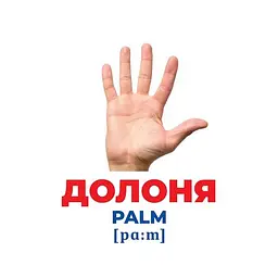 Набір розвиваючих карток Геній з пелюшок "Будова структура" Ранок 10107202, 17 карток - мініатюра 3