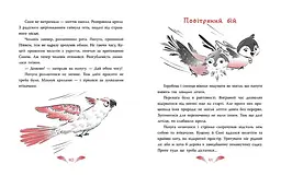 Захмарний детектив. Горобці проти Опудала - Андрій Кокотюха (НЕ1651003У) - мініатюра 6