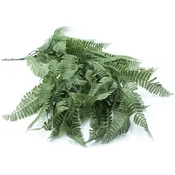 Штучна гілка Engard Persian fern 65 cм (AV-01) - мініатюра 3