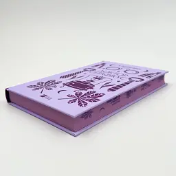 Доктор Серафікус - Віктор Домонтович | Vivat, книга українською, нова, тверда - мініатюра 3