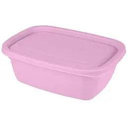 Контейнер харчовий PINK Banquet 0.55л пластик