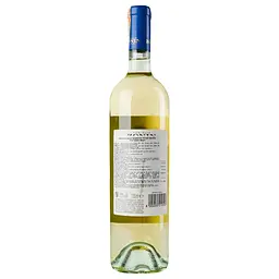 Вино Zonin Pinot Grigio IGP, біле, сухе, 13%, 0,75 л (37170) - мініатюра 4