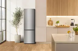 Холодильник Gorenje RK58DPS4I - мініатюра 2