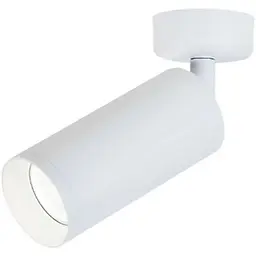 Спот Friendlylight Focus L FL2099