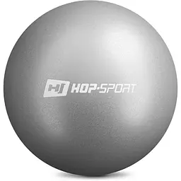 Фітбол Hop-Sport 25см сріблястий