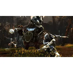 Ключ активації Microsoft Kingdoms of Amalur: Re-Reckoning для Xbox One/Series - мініатюра 3