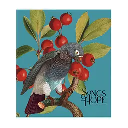 Зошит Школярик Birds 60 аркушів клітинка (060-3410K), в асортименті