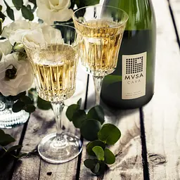 Вино ігристе MVSA Cava DO Brut біле брют 0.75 л - мініатюра 7