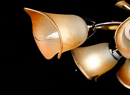 Люстра стельова Splendid Ray L90375B/6, 6 ламп, золото, коричневий, метал, скло, сучасний стиль - мініатюра 2