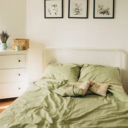 Комплект постільної білизни двуспальний 180 x 220 см SARRA Кретон Olive Оливковий