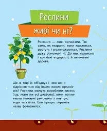Чомусики. Рослини - мініатюра 2