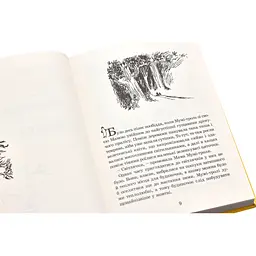 Книга Країна Мумі-тролів. Книга 1 - Туве Янссон Видавництво Старого Лева (9786176796466) - мініатюра 5