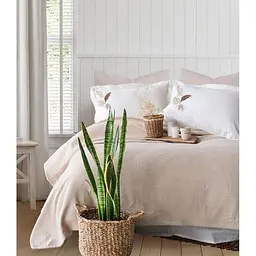 Літня постільна білизна Palm Bej з покривалом 220*240 см Moss Home pbe0051398
