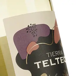 Вино Tierra Telteca Torrontes біле сухе 0.75 л - мініатюра 3