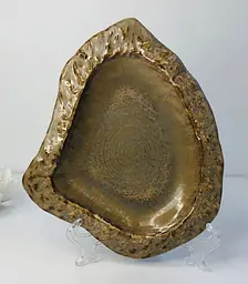 Салатник фігурний Древо 28x24x3.4 см