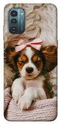 TPU чохол Demsky Sleepy spaniel для Nokia G21