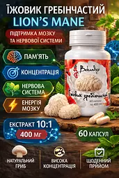 Їжовик гребінчастий 400 мг, 60 капсул — при розумовій втомі й розсіяності для пам'яті та концентрації, екстракт гриба, BEKANDZE - мініатюра 2