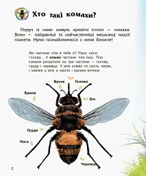 Енциклопедія дошкільника: Комахи - мініатюра 2
