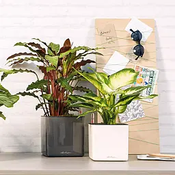 Вазон Lechuza Cube Glossy 14 червоний (13512) - мініатюра 6