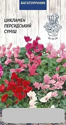 Цикламен Насіння України Персидський суміш (5шт насіння)