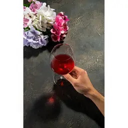 Келих для червоного вина Schott Zwiesel Banquet Wine Burgundy 630 мл (121590) - мініатюра 4