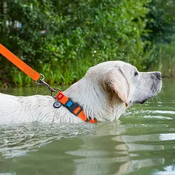Нашийник для собак водостійкий Waudog Waterproof з QR-паспортом пластикова пряжка-фастекс Ш 25 мм Д 38-58 см помаранчевий - мініатюра 5