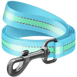 Повідець для собак Waudog Nylon, 122х2,5 см, світловідбиваючий, блакитний