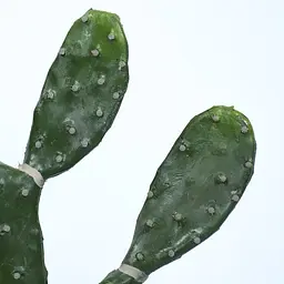 Штучна рослина Engard Cactus 75 cм (TW-41) - мініатюра 5