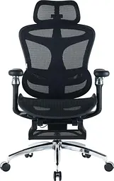 Офісне крісло Sihoo DORO C300 Pro Mesh Black with footrest (DORO-C300-PRO-M101-JT)