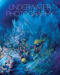 Underwater photography - мініатюра 2