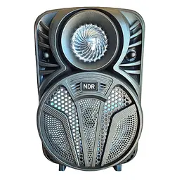 Бездротова Bluetooth-колонка NDR P33 8 дюймів 15W - мініатюра 5