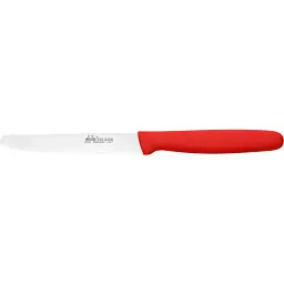Ніж кухонний Due Cigni Serrated Steak Knife 110 мм
