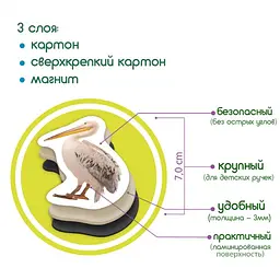 Магнітний набір Magdum Птахи (ML4031-30 EN) - мініатюра 4