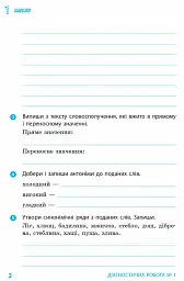 Українська мова та читання. 4 клас. Діагностичні роботи - Діана Ротфорт - мініатюра 3