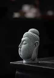 Самовдосконалення DH-F006 - мініатюра 4