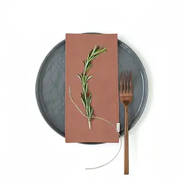 Набір серветок Cosas Copper 2 шт. 30х30 см цегельний (Set-2Serviette_RanforsBrick_30) - мініатюра 2