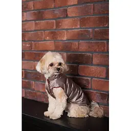 Жилет Pet Fashion Hardy для собак розмір S2 - мініатюра 8