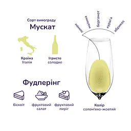 Упаковка ігристого вина Martini Asti DOCG біле солодке 9 л (0.75 л х 12 шт.) - мініатюра 3