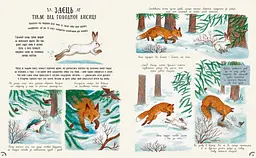 Книга Ранок Маленькі дива природи - Рейчел Вільямс (С902272У) - мініатюра 2