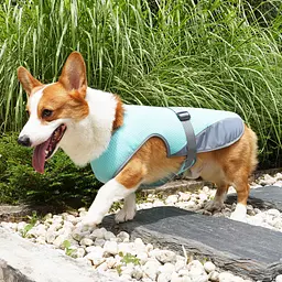 Літній охолоджувальний жилет для собак Derby Summer Dog Cooling Vest PA0115, L - мініатюра 4