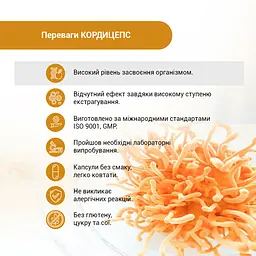 Дієтична добавка Кордицепс Супер 60 капсул - мініатюра 7